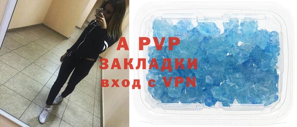 стафф Арсеньев